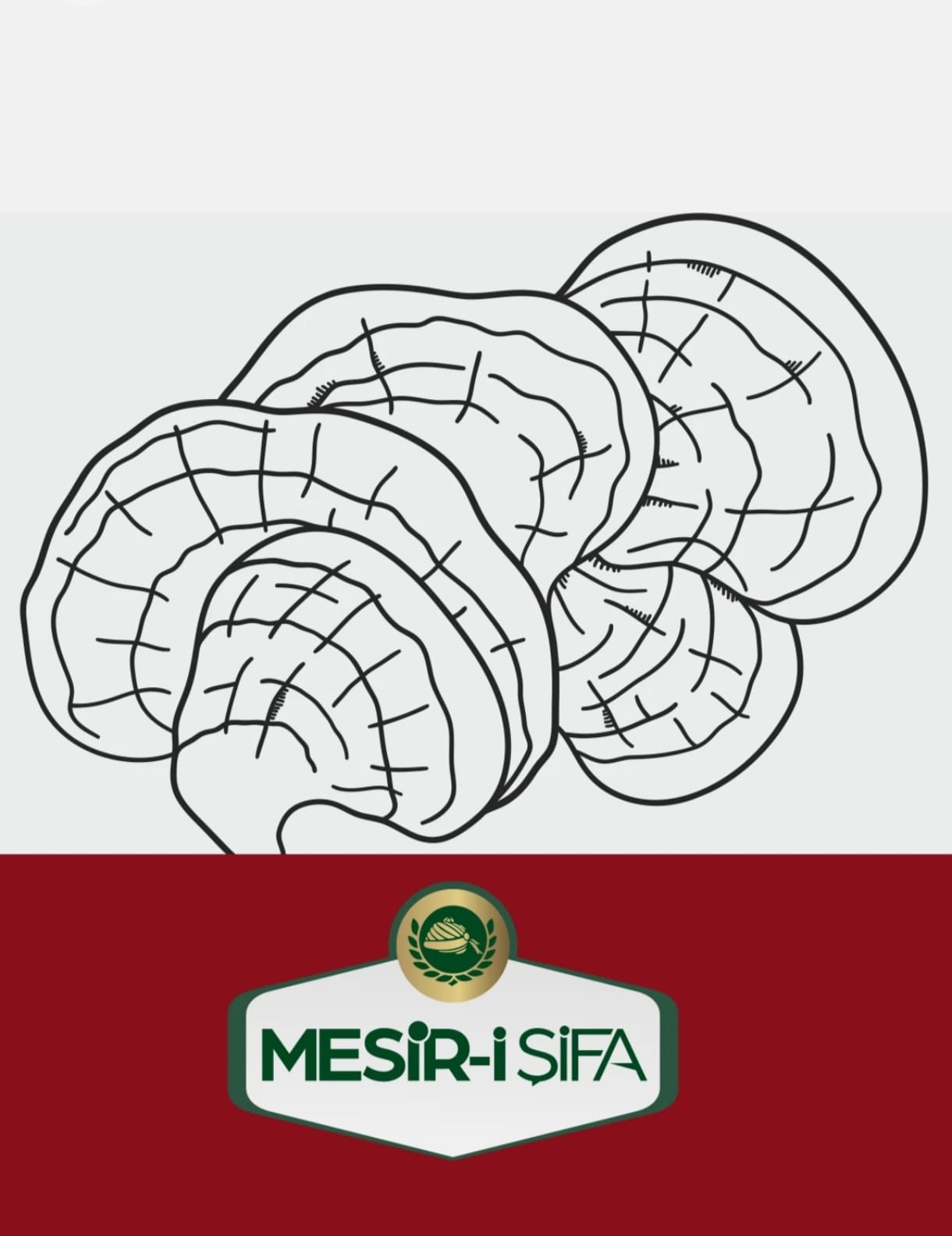 Cafea solubila cu extract din ciuperca reishi anti- aging stare de bine, si energie, 75gr mesiri-i-sifa