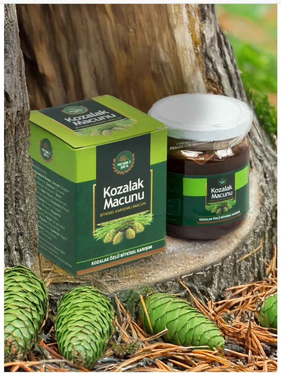 Pastă de conuri de pin – Sursă naturală de vitalitate și antioxidanți 240 gr