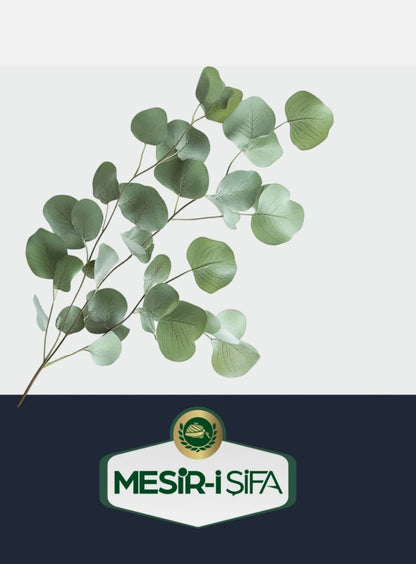 Cafea solubila de la mesiri-i-sifa, cu extract din seminte de chia și cicoare ajuta la arderea grasimilor din corp detox si antioxidant 75 gr
