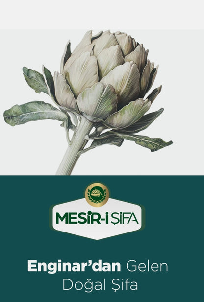 Cafea cu extract de anghinare cafea solubila solutie pentru problemele ficatului  75 g
